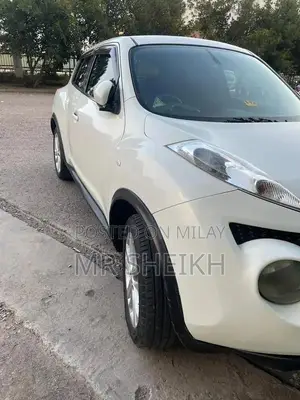 Nissan Juke 2010 Compact SUV - Low Mileage Condition