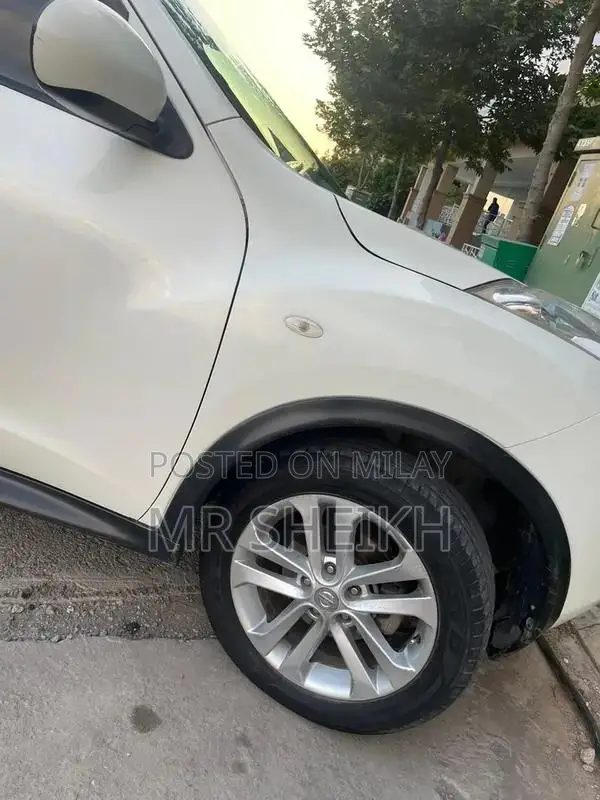 Nissan Juke 2010 Compact SUV - Low Mileage Condition