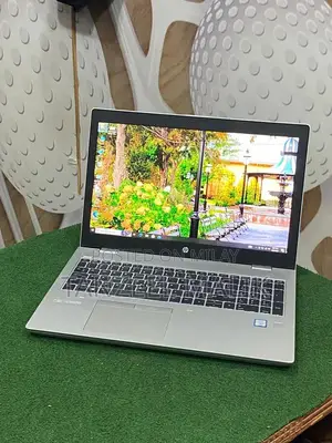 HP ProBook 650 G5 Business Laptop Core i7 8th Gen