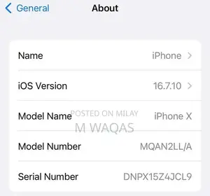 iPhone X 256GB White Smartphone with Screen Issue