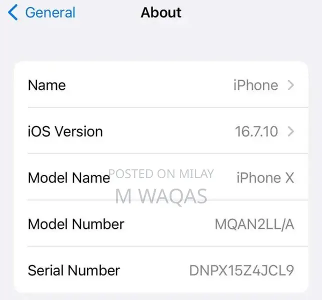 iPhone X 256GB White Smartphone with Screen Issue