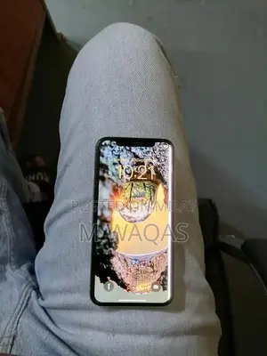 iPhone X 256GB White Smartphone with Screen Issue