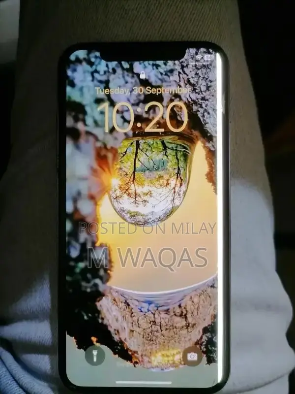 iPhone X 256GB White Smartphone with Screen Issue