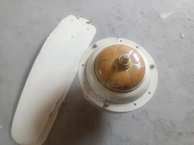 Copper Winding Electric Ceiling Fans - Set of 2