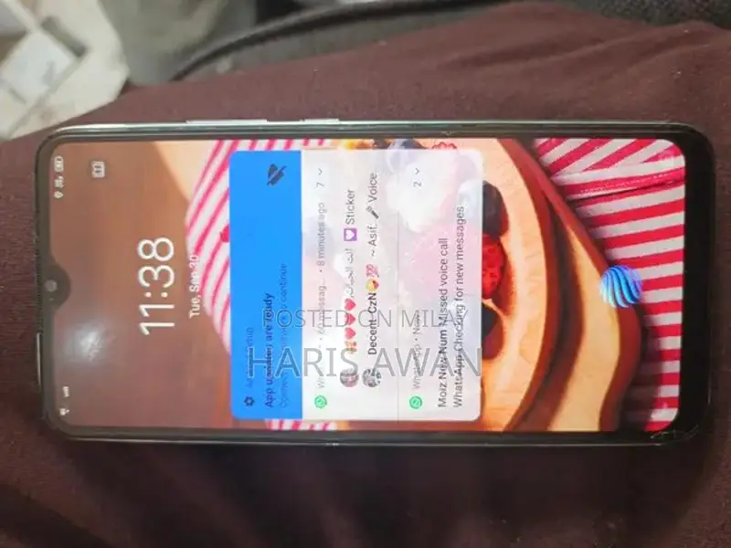 Smartphone with Panel Replacement and Back Cover Change