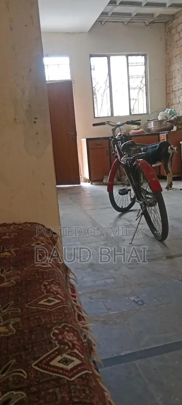 Well-Maintained Deluxe Bicycle in Great Condition