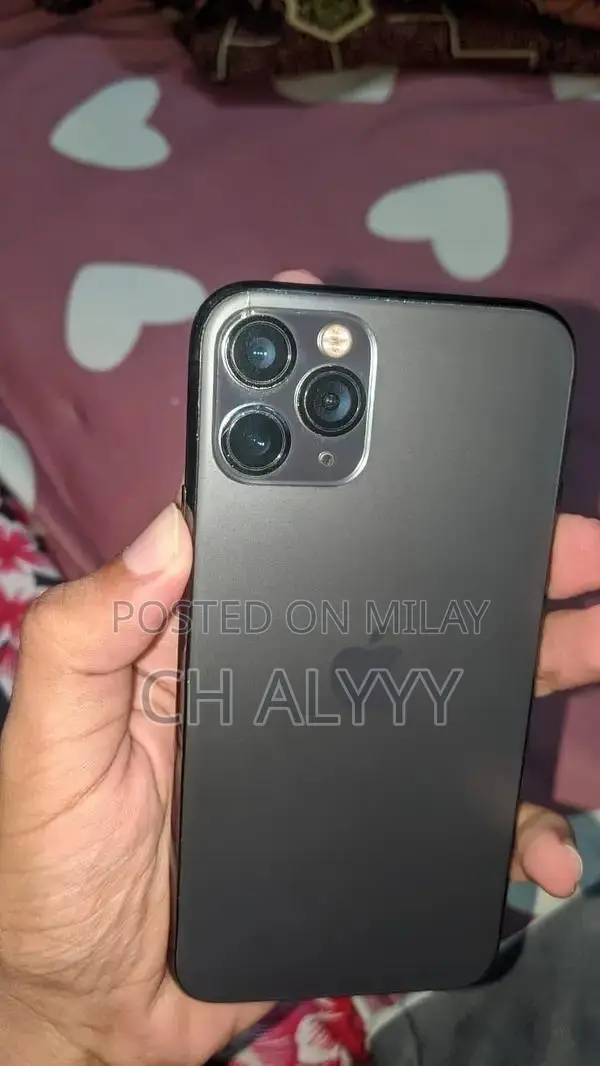 Apple iPhone 11 Pro 64GB Smartphone with Panel Replacement