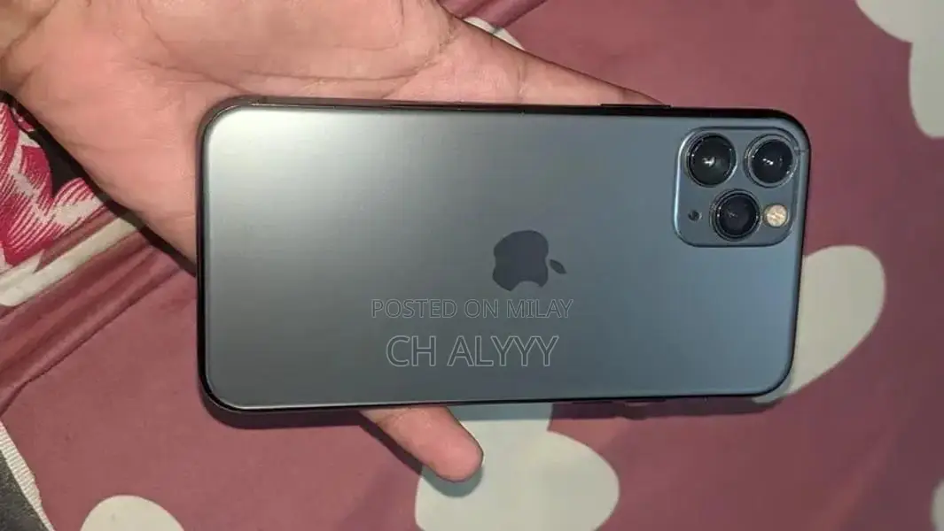 Apple iPhone 11 Pro 64GB Smartphone with Panel Replacement