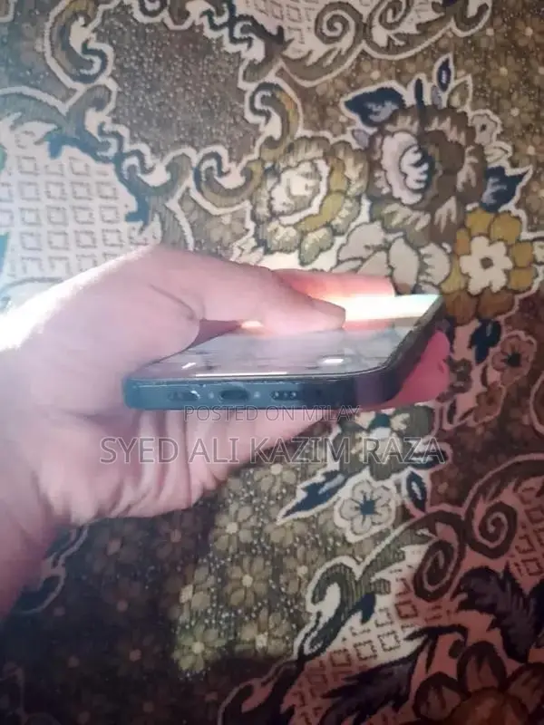 Pro Max Smartphone with High Battery Health