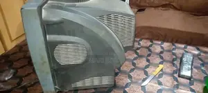 Panasonic 14-Inch Television with Functional Body