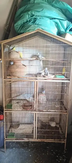 Photo - Comprehensive Pijra Product Set with Multiple Components