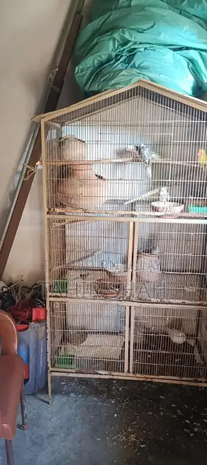 Comprehensive Pijra Product Set with Multiple Components