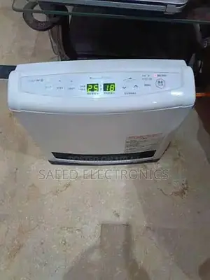 Japanese Gas Hybrid Blower Heater with Multiple Features
