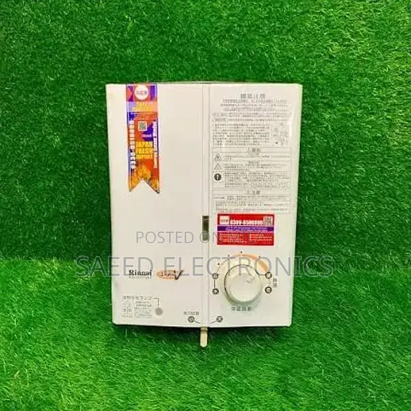 Japanese Gas Hybrid Blower Heater with Multiple Features