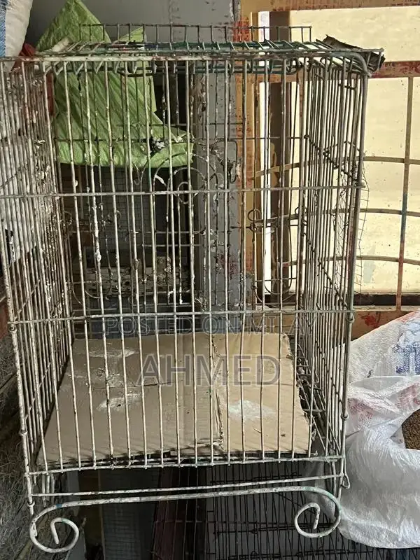 Portable Folding Bird and Hen Cages Multiple Sizes