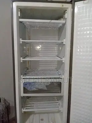 Dawlance Large Double Door Refrigerator - Energy Efficient