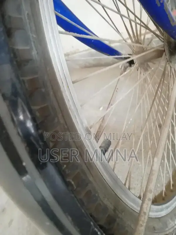 Cycle Caspian Original Blue Frame 24-Inch Bicycle