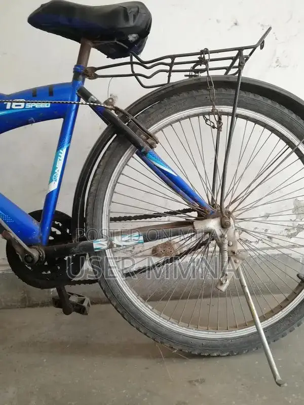 Cycle Caspian Original Blue Frame 24-Inch Bicycle