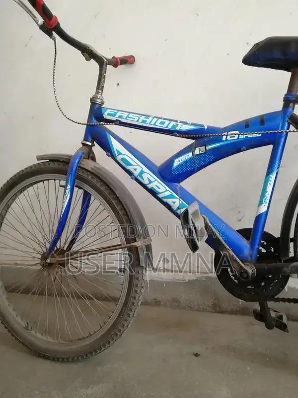 Cycle Caspian Original Blue Frame 24-Inch Bicycle