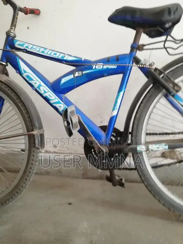 Cycle Caspian Original Blue Frame 24-Inch Bicycle