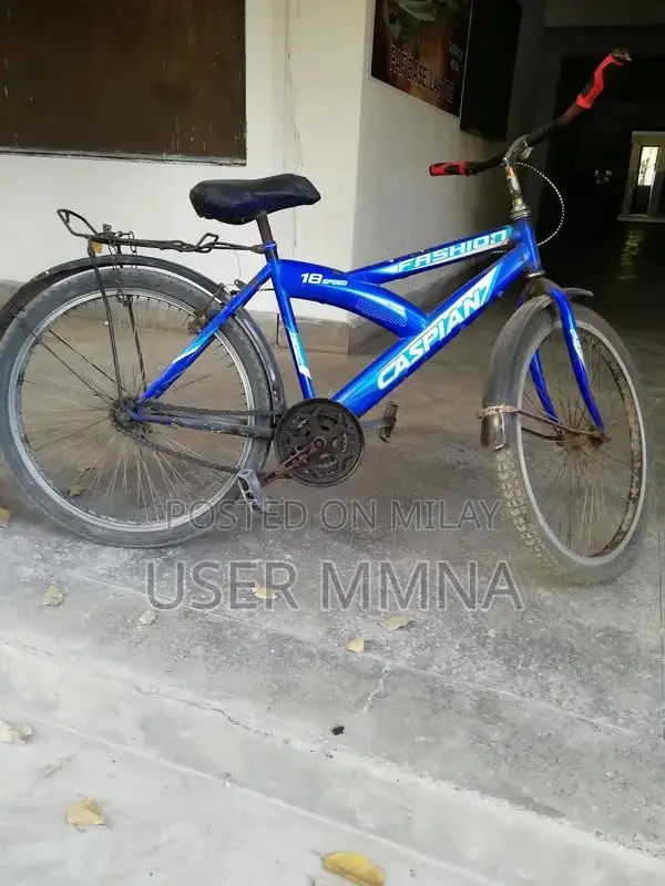 Cycle Caspian Original Blue Frame 24-Inch Bicycle