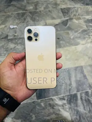 Refurbished iPhone 12 Pro Max with Back Cover Replacement