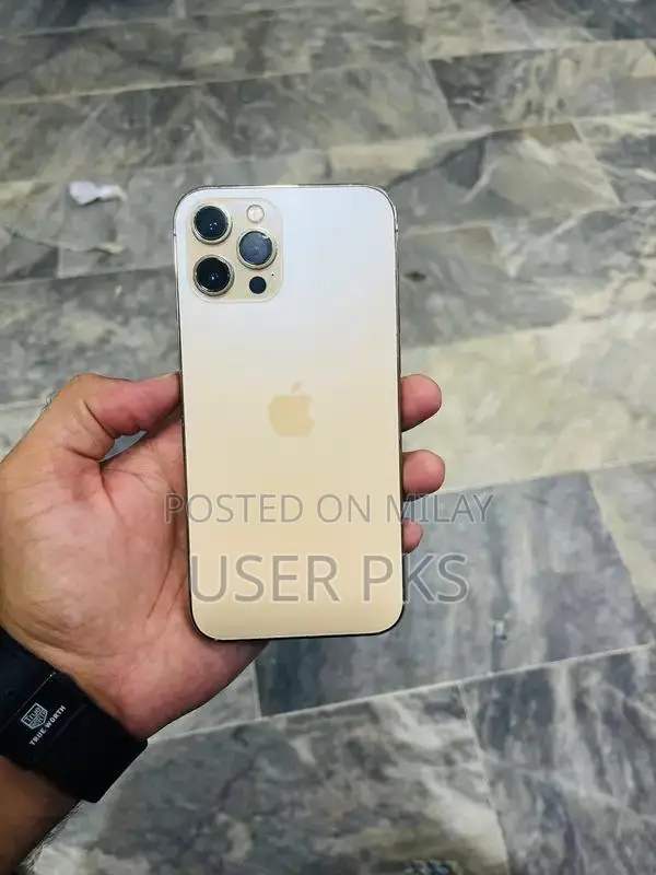 Refurbished iPhone 12 Pro Max with Back Cover Replacement