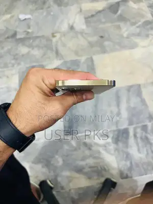 Refurbished iPhone 12 Pro Max with Back Cover Replacement