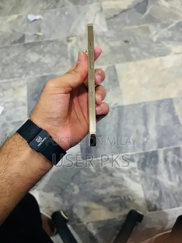 Refurbished iPhone 12 Pro Max with Back Cover Replacement