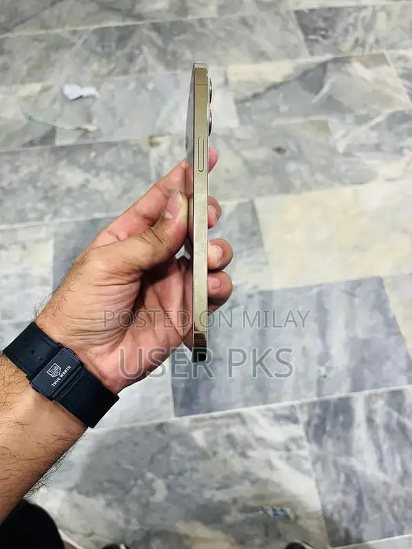 Refurbished iPhone 12 Pro Max with Back Cover Replacement