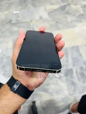 Refurbished iPhone 12 Pro Max with Back Cover Replacement