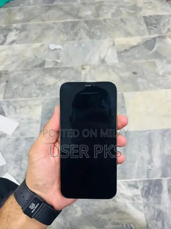 Refurbished iPhone 12 Pro Max with Back Cover Replacement