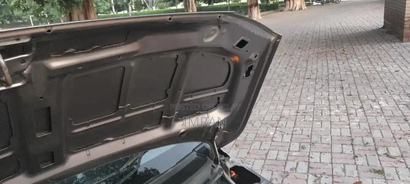 Alto VXR mint condition home used