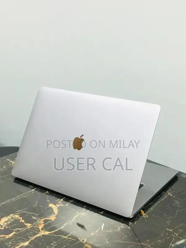 Apple MacBook Pro 16" 2019 Core i9 Professional Laptop