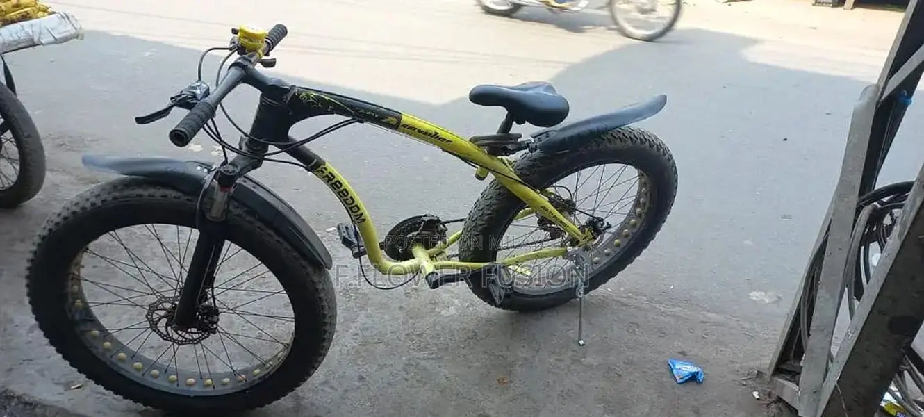 Fat Tire Mountain Bike with Suspension and Gearing