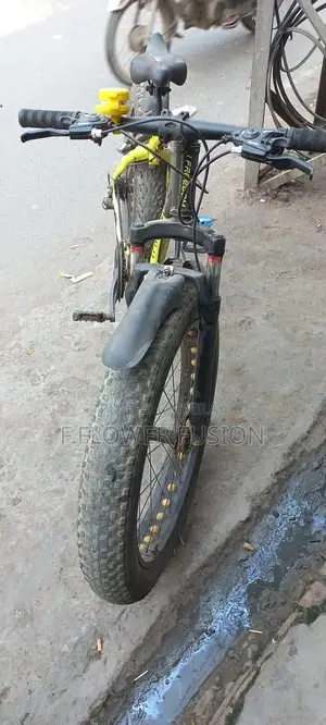 Fat Tire Mountain Bike with Suspension and Gearing