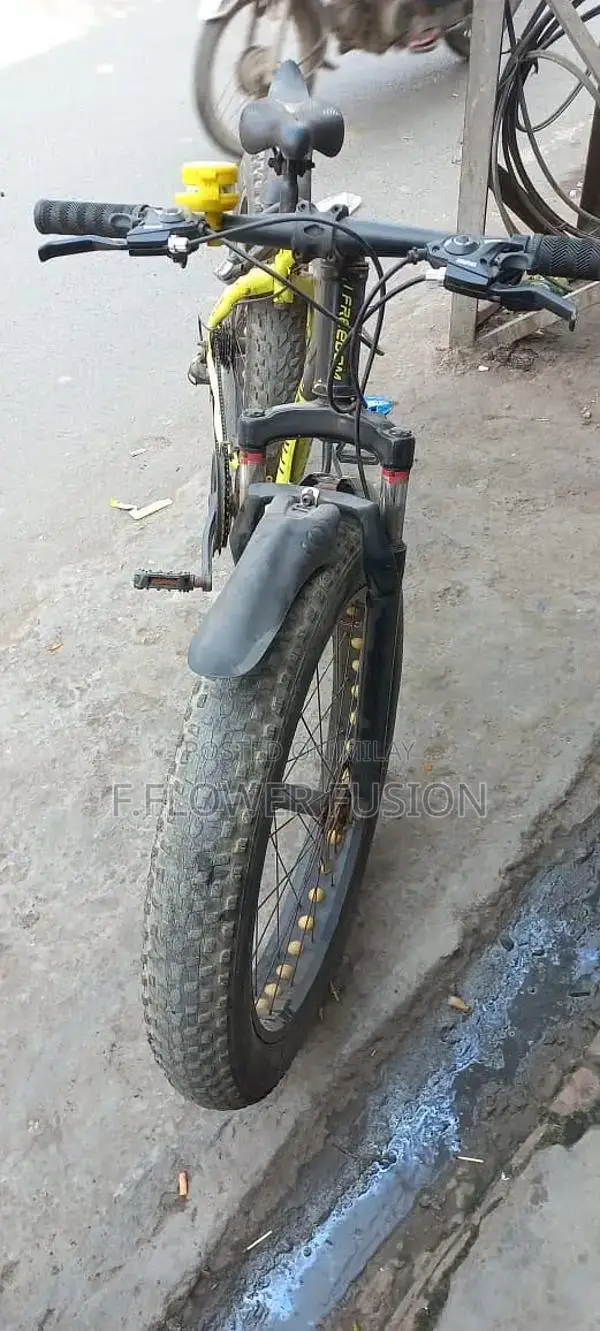 Fat Tire Mountain Bike with Suspension and Gearing