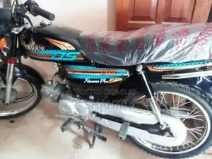 unique 2025 month of 6 month