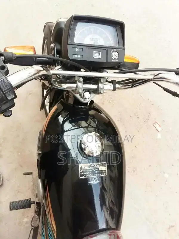 unique 2025 month of 6 month