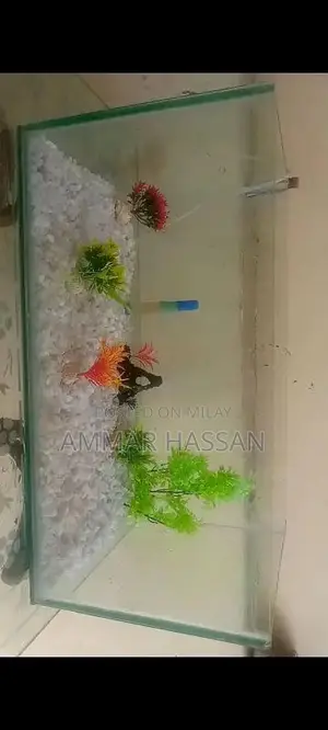 Photo - Big and Strong Aquarium for urgent sale