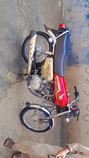 Photo - Honda 2024 Gold