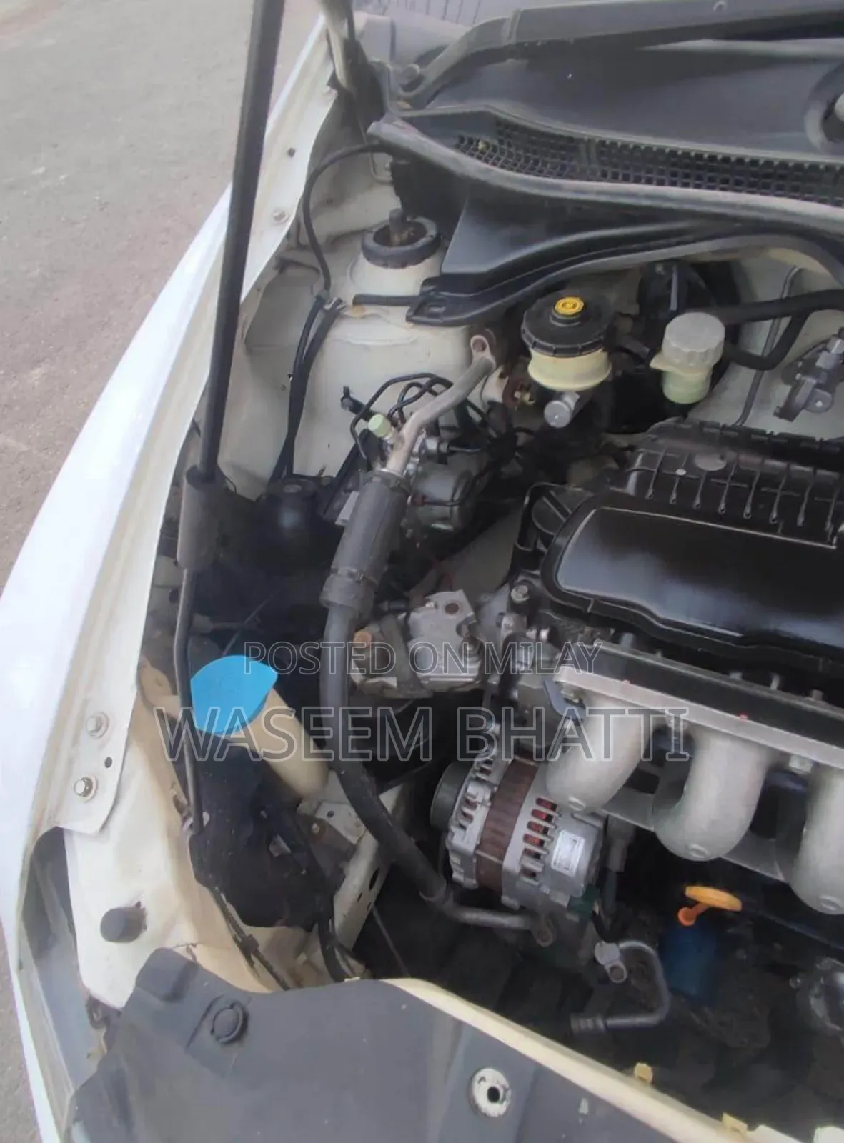 Honda City 2010 White