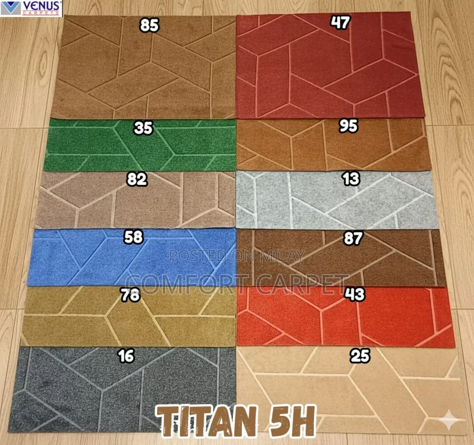 Wall to Wall Carpet With Foam 5000