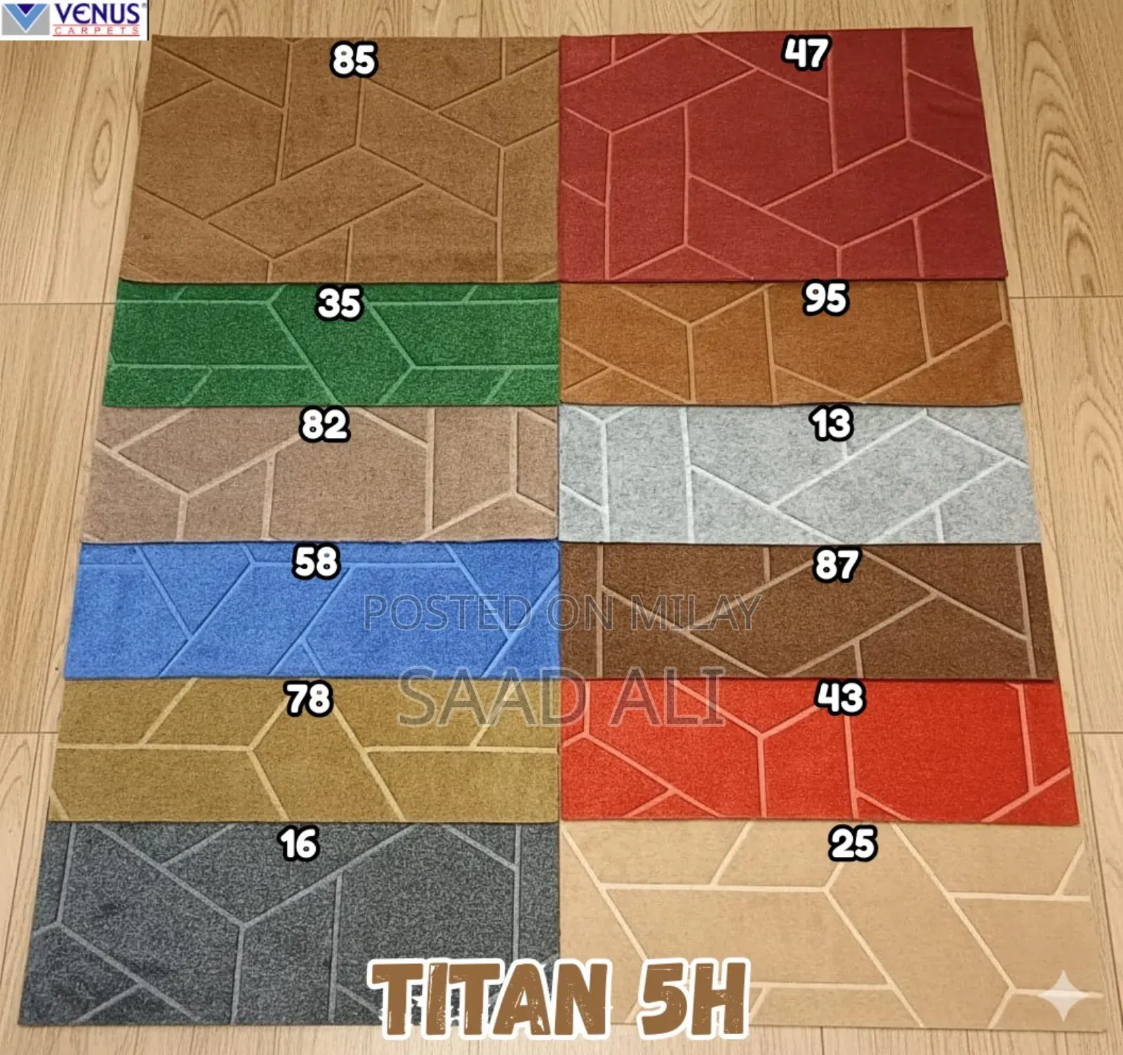 Wall to Wall Carpets Cheap Price 5000