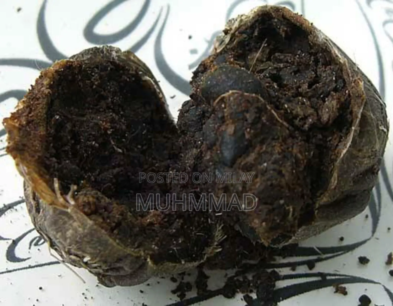 Deer Musk (Mushk/Kastori) مشک/کستوری