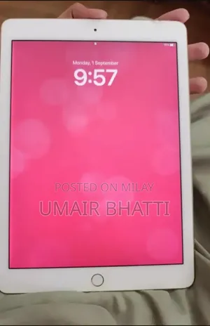 Photo - Apple iPad Pro 9.7 (2016) 256 GB Gray