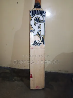 Photo - English Willow Bat