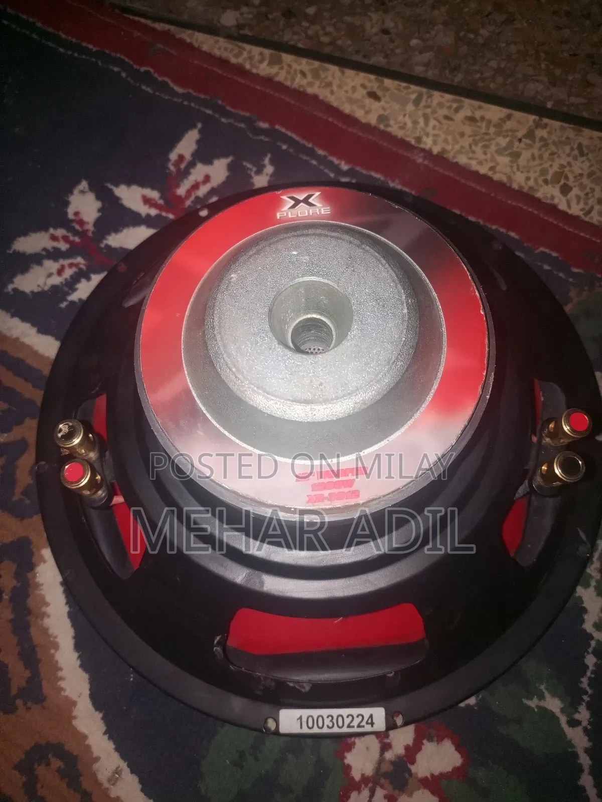 Subwoofer 12 Inch
