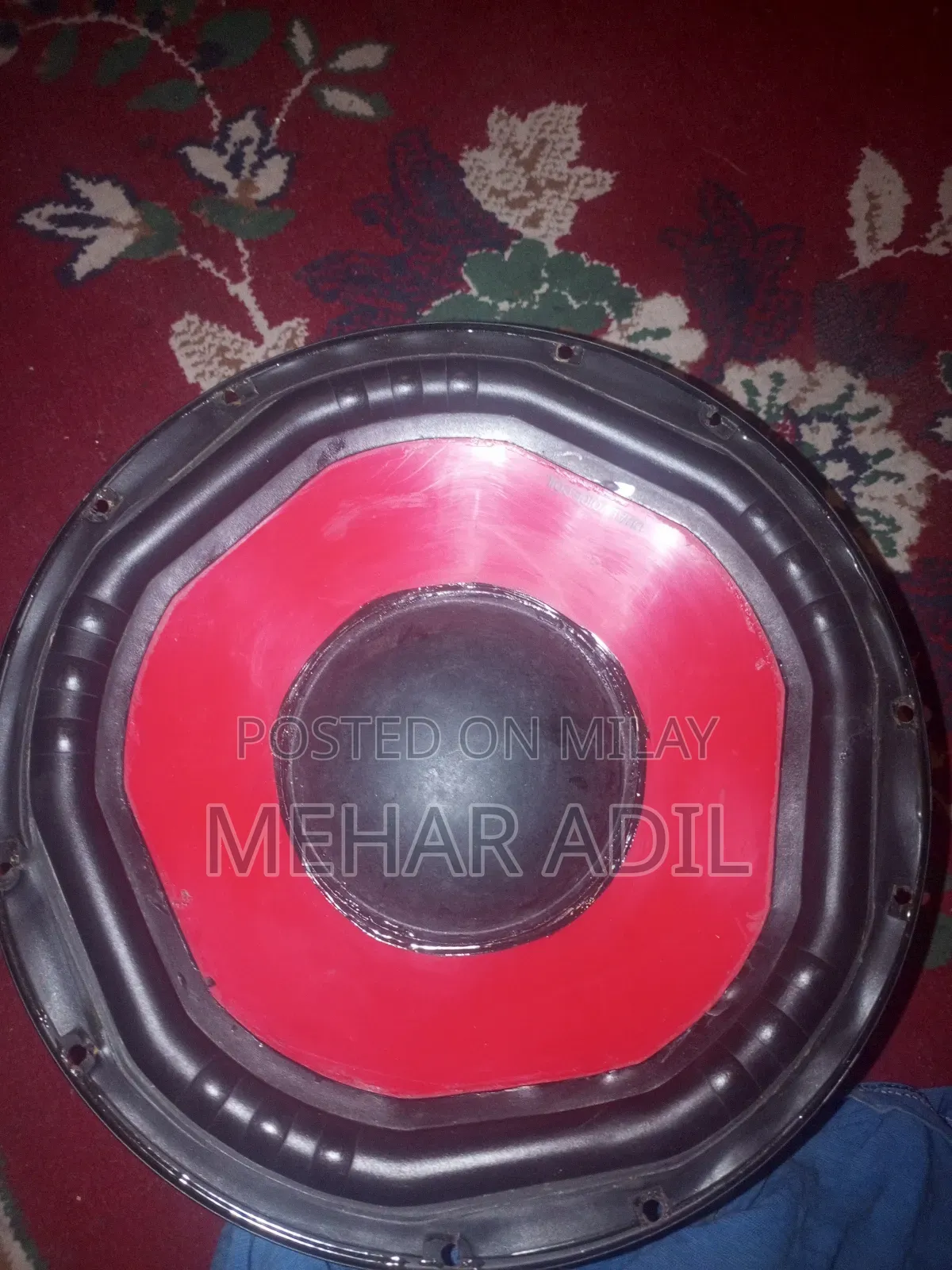 Subwoofer 12 Inch