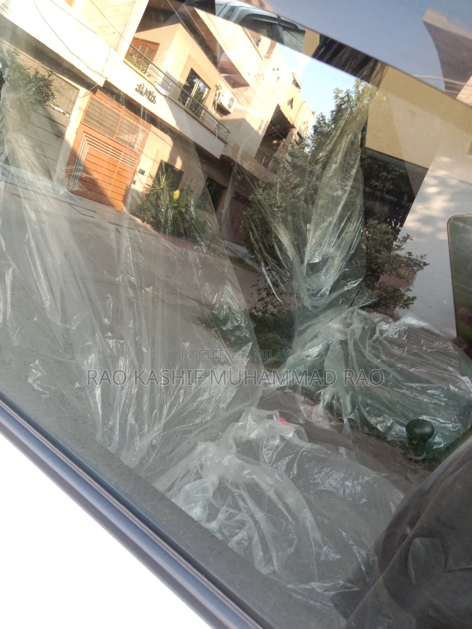 New Suzuki Alto 2025 White